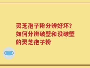 灵芝孢子粉分辨好坏？如何分辨破壁和没破壁的灵芝孢子粉