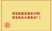 灵芝的直径是多少呀(灵芝的大小是多少？)