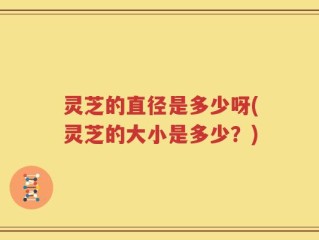 灵芝的直径是多少呀(灵芝的大小是多少？)