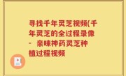 寻找千年灵芝视频(千年灵芝的全过程录像 -  亲睐神药灵芝种植过程视频