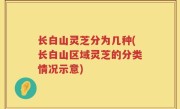 长白山灵芝分为几种(长白山区域灵芝的分类情况示意)
