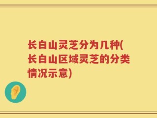 长白山灵芝分为几种(长白山区域灵芝的分类情况示意)