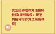 灵芝接种培养方法视频教程(视频教程：灵芝的接种培养方法简易教程)