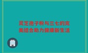 灵芝孢子粉与三七的完美结合助力健康新生活
