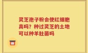 灵芝孢子粉会使红细胞高吗？种过灵芝的土地可以种羊肚菌吗