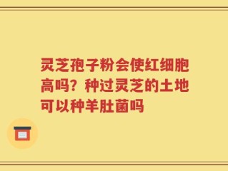 灵芝孢子粉会使红细胞高吗？种过灵芝的土地可以种羊肚菌吗