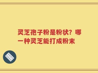 灵芝孢子粉是粉状？哪一种灵芝能打成粉末