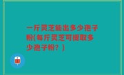 一斤灵芝能出多少孢子粉(每斤灵芝可提取多少孢子粉？)