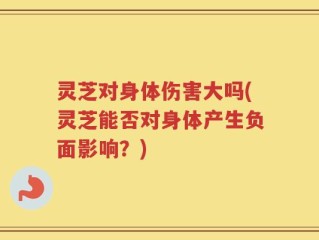 灵芝对身体伤害大吗(灵芝能否对身体产生负面影响？)