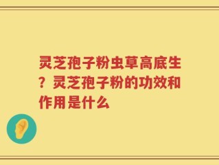 灵芝孢子粉虫草高底生？灵芝孢子粉的功效和作用是什么