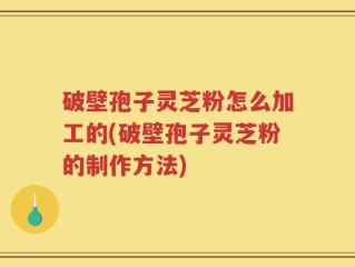 破壁孢子灵芝粉怎么加工的(破壁孢子灵芝粉的制作方法)