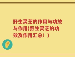 野生灵芝的作用与功放与作用(野生灵芝的功效及作用汇总！)