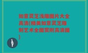 如意灵芝浅雕图片大全高清(精美如意灵芝雕刻艺术全图赏附高清图)