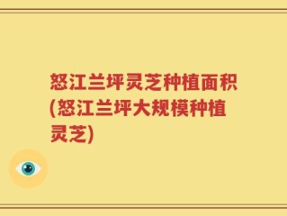 怒江兰坪灵芝种植面积(怒江兰坪大规模种植灵芝)