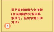 灵芝鉴别图谱大全视频(全面图解如何鉴别真假灵芝，轻松掌握识别方法)