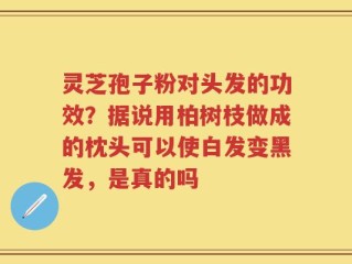 灵芝孢子粉对头发的功效？据说用柏树枝做成的枕头可以使白发变黑发，是真的吗