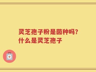 灵芝孢子粉是茵种吗？什么是灵芝孢子