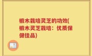 椴木栽培灵芝的功效(椴木灵芝栽培：优质保健佳品)