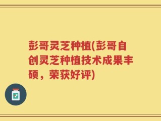 彭哥灵芝种植(彭哥自创灵芝种植技术成果丰硕，荣获好评)