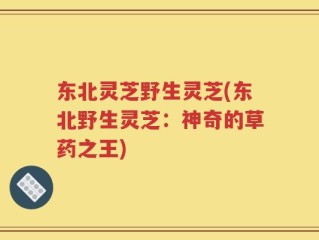 东北灵芝野生灵芝(东北野生灵芝：神奇的草药之王)