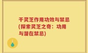 干灵芝作用功效与禁忌(探索灵芝之奇：功用与潜在禁忌)