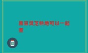 黑豆灵芝熟地可以一起煮