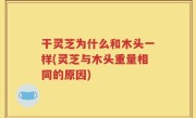 干灵芝为什么和木头一样(灵芝与木头重量相同的原因)