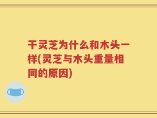 干灵芝为什么和木头一样(灵芝与木头重量相同的原因)