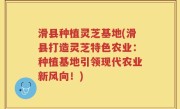滑县种植灵芝基地(滑县打造灵芝特色农业：种植基地引领现代农业新风向！)