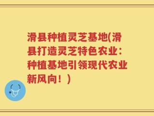 滑县种植灵芝基地(滑县打造灵芝特色农业：种植基地引领现代农业新风向！)