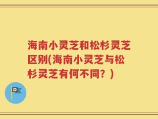 海南小灵芝和松杉灵芝区别(海南小灵芝与松杉灵芝有何不同？)