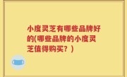 小度灵芝有哪些品牌好的(哪些品牌的小度灵芝值得购买？)