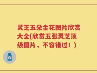 灵芝五朵金花图片欣赏大全(欣赏五张灵芝顶级图片，不容错过！)