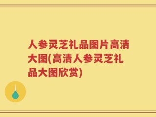 人参灵芝礼品图片高清大图(高清人参灵芝礼品大图欣赏)