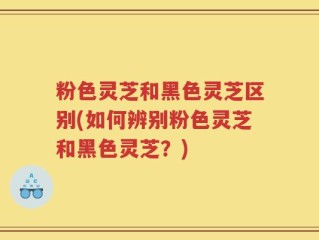粉色灵芝和黑色灵芝区别(如何辨别粉色灵芝和黑色灵芝？)