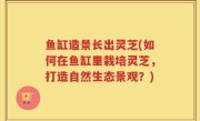 鱼缸造景长出灵芝(如何在鱼缸里栽培灵芝，打造自然生态景观？)