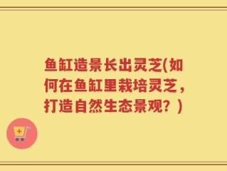 鱼缸造景长出灵芝(如何在鱼缸里栽培灵芝，打造自然生态景观？)