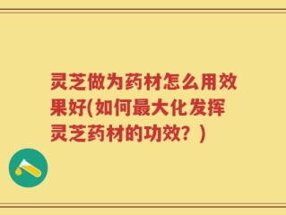 灵芝做为药材怎么用效果好(如何最大化发挥灵芝药材的功效？)