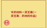 中药材料一灵芝果(一灵芝果：药材的珍品)