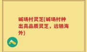 碱场村灵芝(碱场村种出高品质灵芝,远销海外)