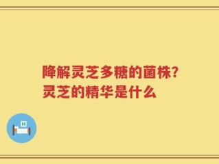 降解灵芝多糖的菌株？灵芝的精华是什么