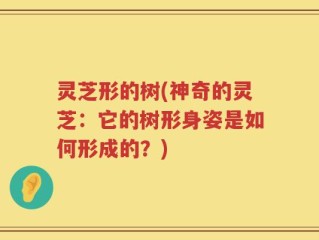 灵芝形的树(神奇的灵芝：它的树形身姿是如何形成的？)