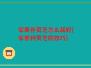 家里养灵芝怎么栽好(家里种灵芝的技巧)