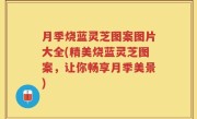 月季烧蓝灵芝图案图片大全(精美烧蓝灵芝图案，让你畅享月季美景)