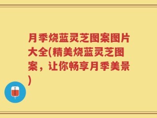 月季烧蓝灵芝图案图片大全(精美烧蓝灵芝图案，让你畅享月季美景)