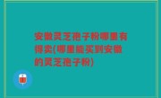 安徽灵芝孢子粉哪里有得卖(哪里能买到安徽的灵芝孢子粉)