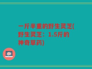一斤半重的野生灵芝(野生灵芝：1.5斤的神奇草药)