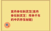 紫丹参石斛灵芝(紫丹参石斛灵芝：传承千年的中药养生秘籍)