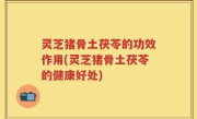 灵芝猪骨土茯苓的功效作用(灵芝猪骨土茯苓的健康好处)