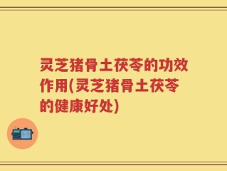 灵芝猪骨土茯苓的功效作用(灵芝猪骨土茯苓的健康好处)